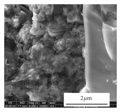 Details are in the caption following the image