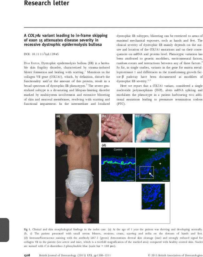 First page image