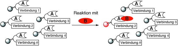 Katalysator-Substrat-Coimmobilisierung – eine Strategie zur Identifizierung von Katalysatoren in “Split-und-mix”-Bibliotheken