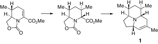Total Synthesis of the Antipode of Alkaloid 205 B