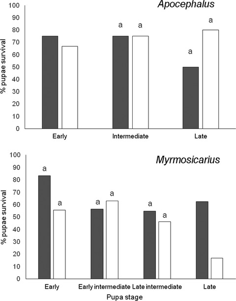 Phorid species from Acromyrmex’s hosts and effect on their survival of two fungi proposed for the control of leafcutter ants