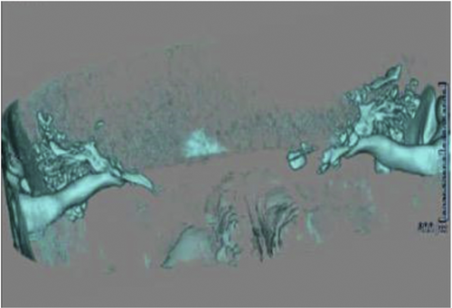 Details are in the caption following the image Details are in the caption following the image