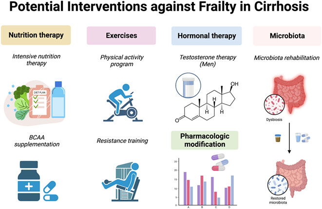 Accumulating awareness on the clinical significance and relevance of frailty in cirrhosis: Time to dig deeper into mechanistic basis!