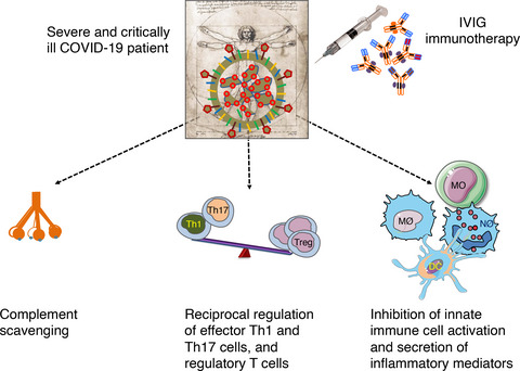Intravenous immunoglobulin immunotherapy for coronavirus disease-19 (COVID-19)