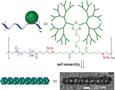 Linear-Dendritic Alternating Copolymers
