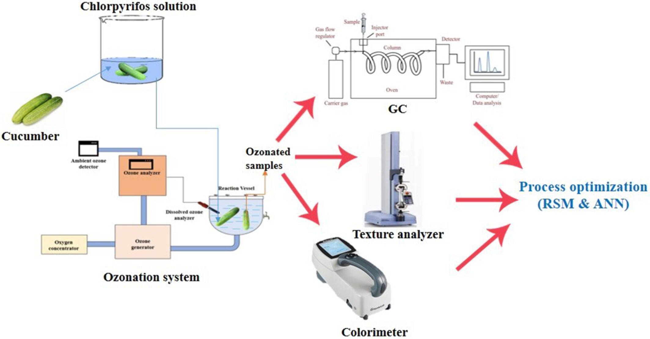 Effect of aqueous ozone treatment on the reduction of chlorpyrifos and physicochemical and microbial qualities of cucumber (Cucumis sativus L.): Process modeling and optimization
