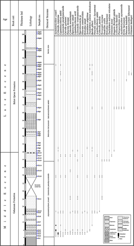 Details are in the caption following the image