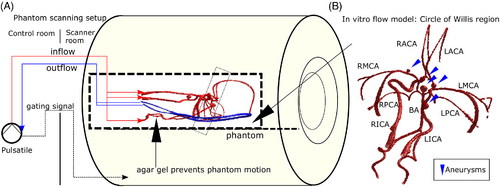 Details are in the caption following the image Details are in the caption following the image