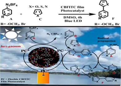 Chitosan-based fluorescein isothiocyanate film as a highly efficient metal-free photocatalyst for solar-light-mediated direct C<span class='icomoon'></span>H arylation