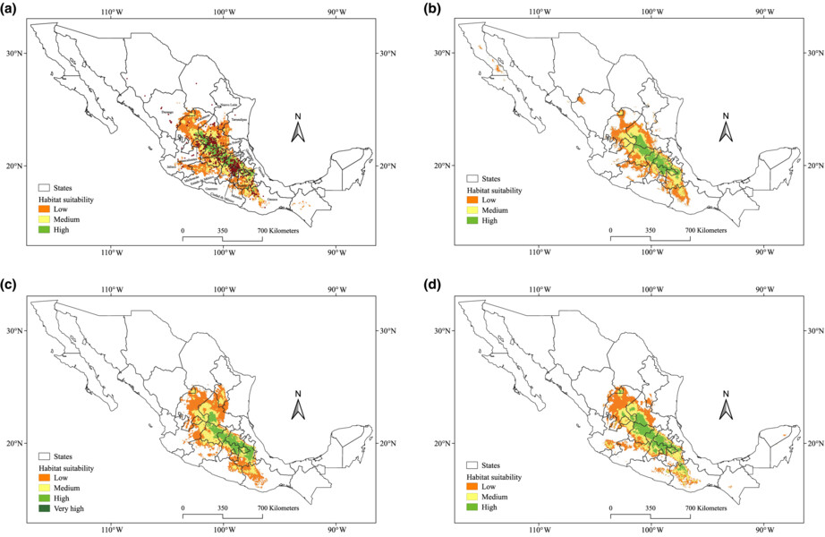 Predicting geographic distribution and habitat suitability of Opuntia streptacantha in paleoclimatic, current, and future scenarios in Mexico