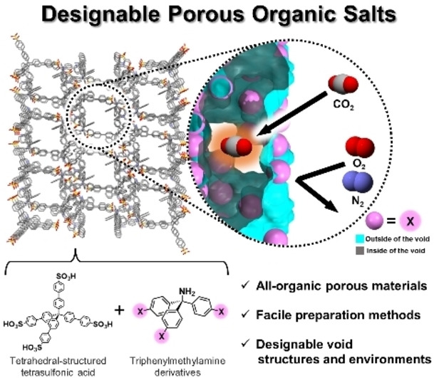 Porous Organic Salts: Diversifying Void Structures and Environments