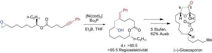 Macrocyclization by Nickel-Catalyzed, Ester-Promoted, Epoxide–Alkyne Reductive Coupling: Total Synthesis of (−)-Gloeosporone