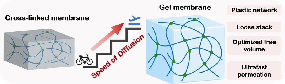 Ultrapermeable Gel Membranes Enabling Superior Carbon Capture