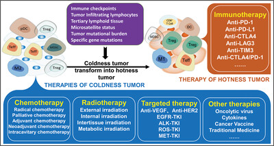 Hot and cold tumors: Immunological features and the therapeutic strategies
