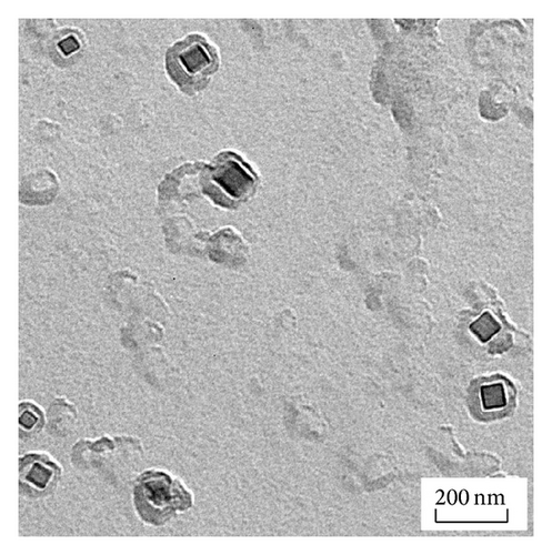 Details are in the caption following the image