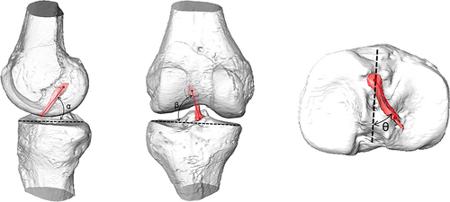 Details are in the caption following the image Details are in the caption following the image