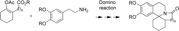 A Highly Efficient Synthesis of the Erythrina and B-Homoerythrina Skeleton by an AlMe3-Mediated Domino Reaction