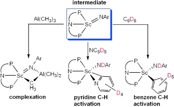 Evidence for the Existence of a Terminal Imidoscandium Compound: Intermolecular C<span class='icomoon'></span>H Activation and Complexation Reactions with the Transient ScNAr Species