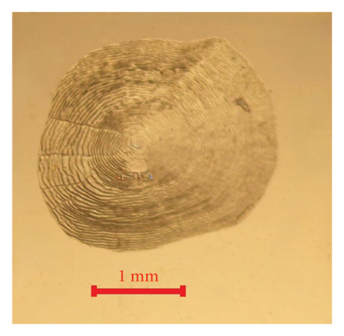 Details are in the caption following the image