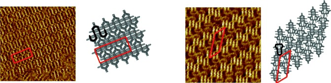 Oligomers and Cyclooligomers of Rigid Phenylene–Ethynylene–Butadiynylenes: Synthesis and Self-Assembled Monolayers