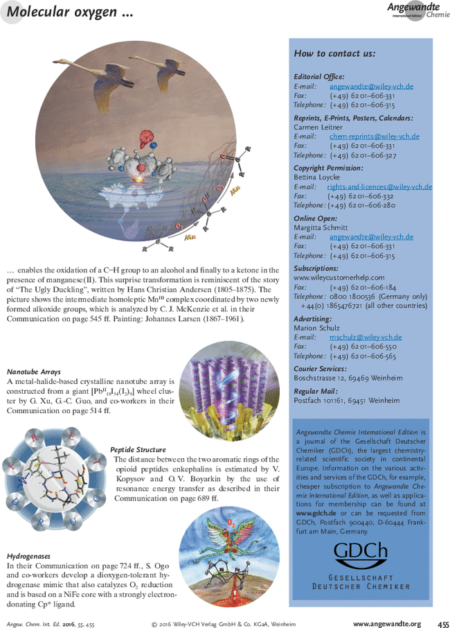 First page image