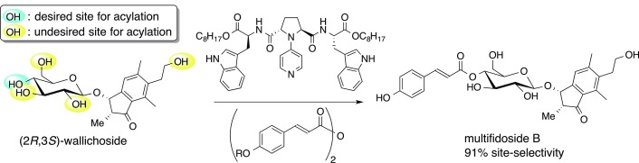 Final-Stage Site-Selective Acylation for the Total Syntheses of Multifidosides A–C