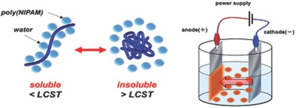 Temperature-Responsive Electrophoretic Deposition of Sulfone-Containing Nonionic Poly(N-isopropylacrylamide)