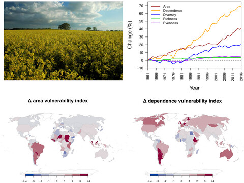 Global agricultural productivity is threatened by increasing pollinator dependence without a parallel increase in crop diversification