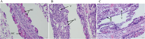 Details are in the caption following the image Details are in the caption following the image