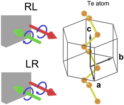 Chiral phonons: circularly polarized Raman spectroscopy and ab initio calculations in a chiral crystal tellurium Issue 6, 2023