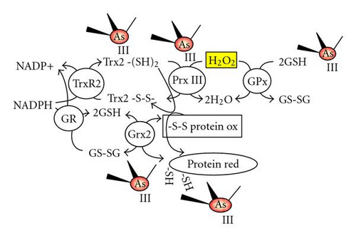 Details are in the caption following the image