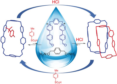 Dynamic Covalent Self-Assembly Based on Oxime Condensation