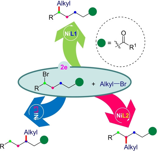 Ligand-Controlled Nickel-Catalyzed Regiodivergent Cross-Electrophile Alkyl-Alkyl Couplings of Alkyl Halides