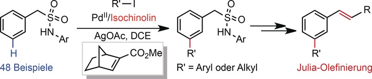 meta-C−H Arylation and Alkylation of Benzylsulfonamide Enabled by a Palladium(II)/Isoquinoline Catalyst