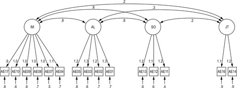 Intoxication-Related Alcohol Mixed with Energy Drink Expectancies Scale: Initial Development and Validation