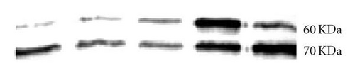 Details are in the caption following the image