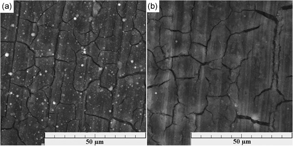 Ultrathin hydroxyapatite coating on pure magnesium substrate prepared by pulsed electron ablation technique