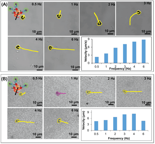 Details are in the caption following the image Details are in the caption following the image