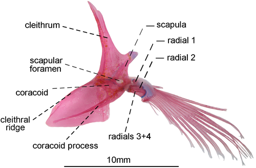 Details are in the caption following the image Details are in the caption following the image