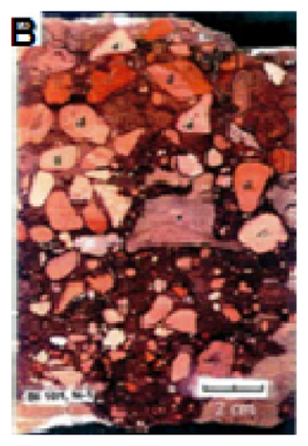 Details are in the caption following the image