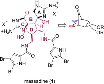 Enantioselective Synthesis of the Carbocyclic D-Ring Subunit of Massadine