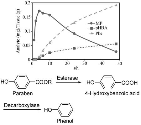 Development and Application of Ultra Performance Liquid Chromatography Method to the Quantification of the Biotransformation of Methyl Paraben in Eisenia foetida