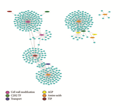 Details are in the caption following the image Details are in the caption following the image