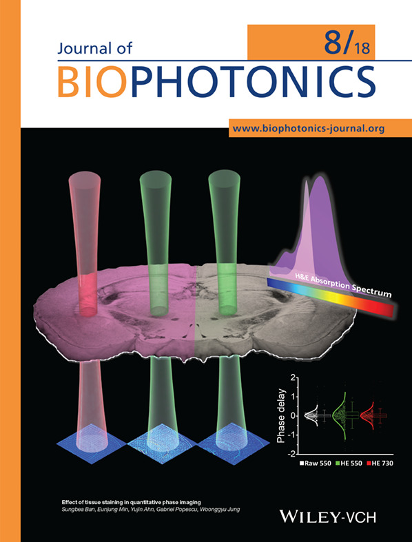 Inside Cover: Effect of tissue staining in quantitative phase imaging (J. Biophotonics 8/2018)