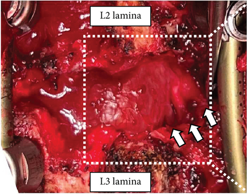 Details are in the caption following the image Details are in the caption following the image