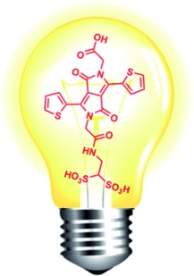 Highly Fluorescent and Water-Soluble Diketopyrrolopyrrole Dyes for Bioconjugation