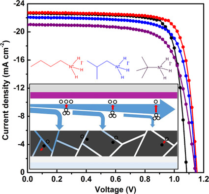 Effect of Steric Hindrance of Butylammonium Iodide as Interface Modification Materials on the Performance of Perovskite Solar Cells