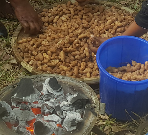 Nutrient and aflatoxin contents of traditional complementary foods consumed by children of 6–24 months