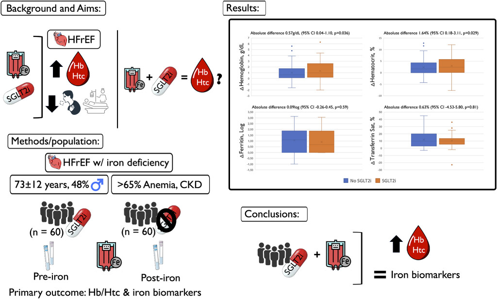 Erythropoietic response after intravenous iron in patients with heart failure and reduced ejection fraction with and without background treatment with sodium–glucose cotransporter 2 inhibitors