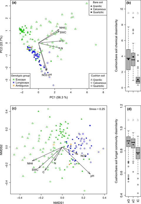 Differences in the fungal communities nursed by two genetic groups of the alpine cushion plant, Silene acaulis